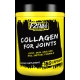 COLLAGEN FOR JOINT 180 caps